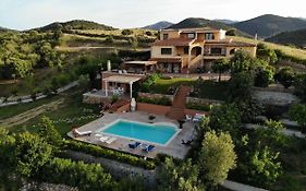 Domus Francy