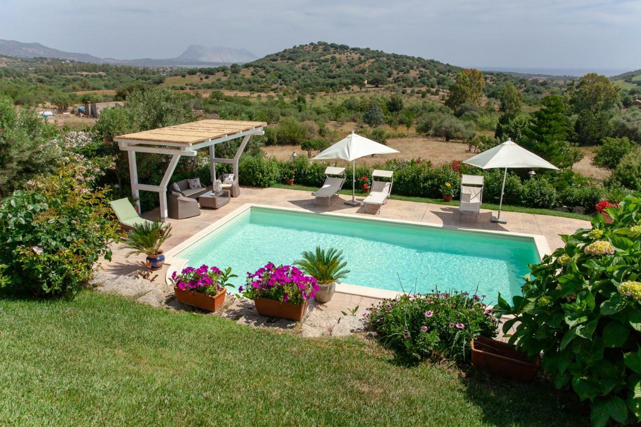 Domus Francy Hotel San Teodoro  Buitenkant foto